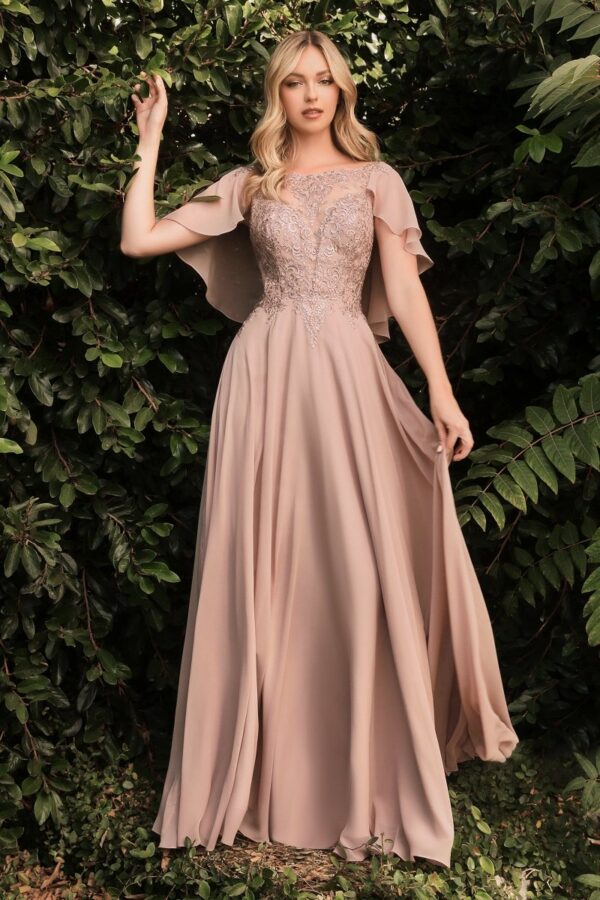 El Vestido A-Line de Gasa con Caplet Adjunto